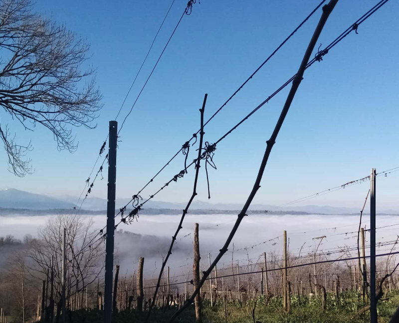 ドメーヌ・クースタレの写真3