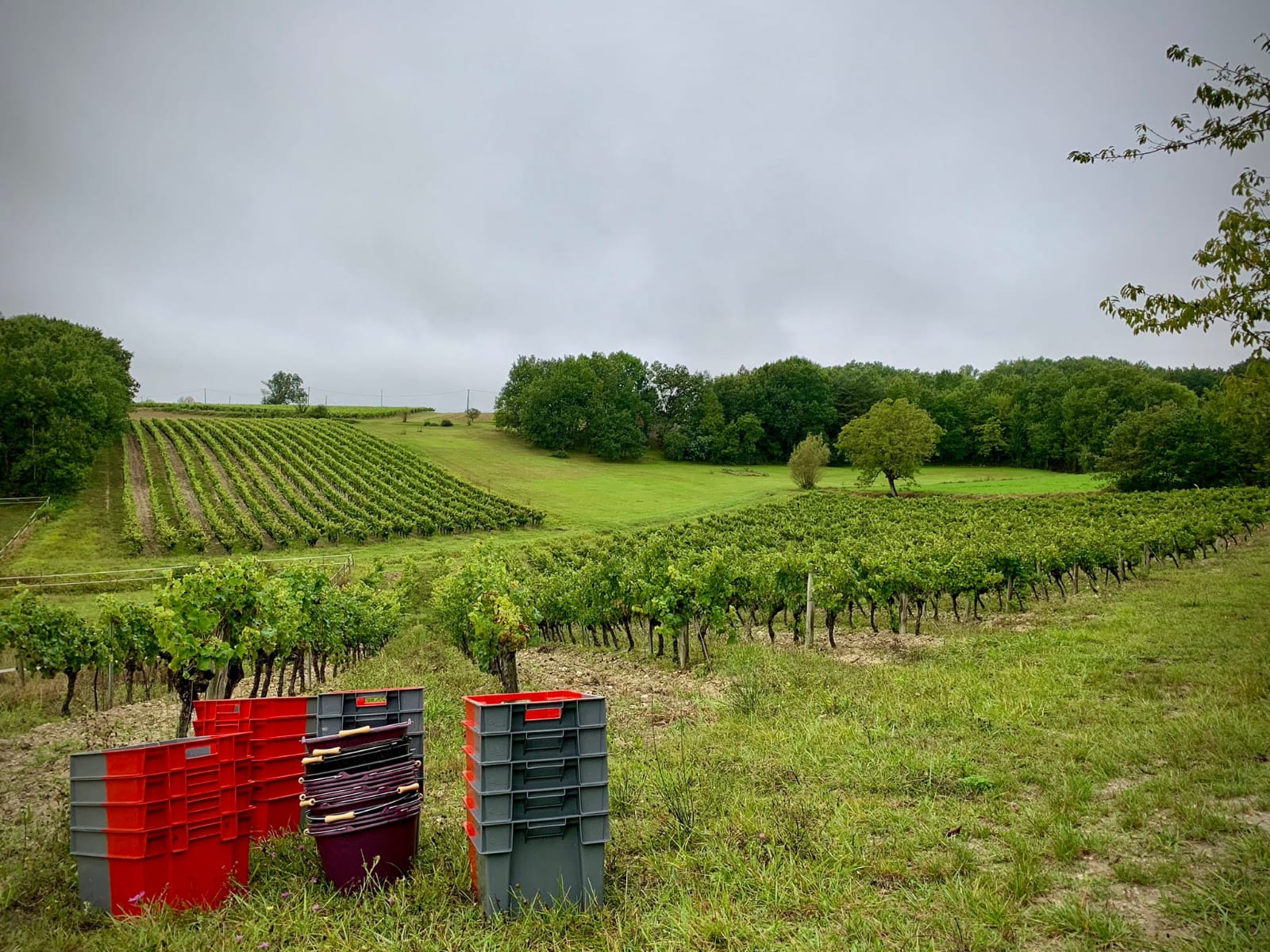 ラ・ピエール・ルべの写真1