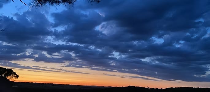 ステラテウスの写真1