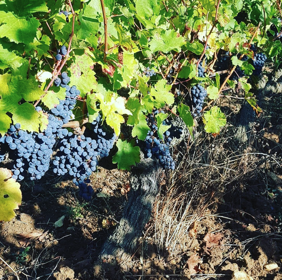 アルノー・ランベールの写真1