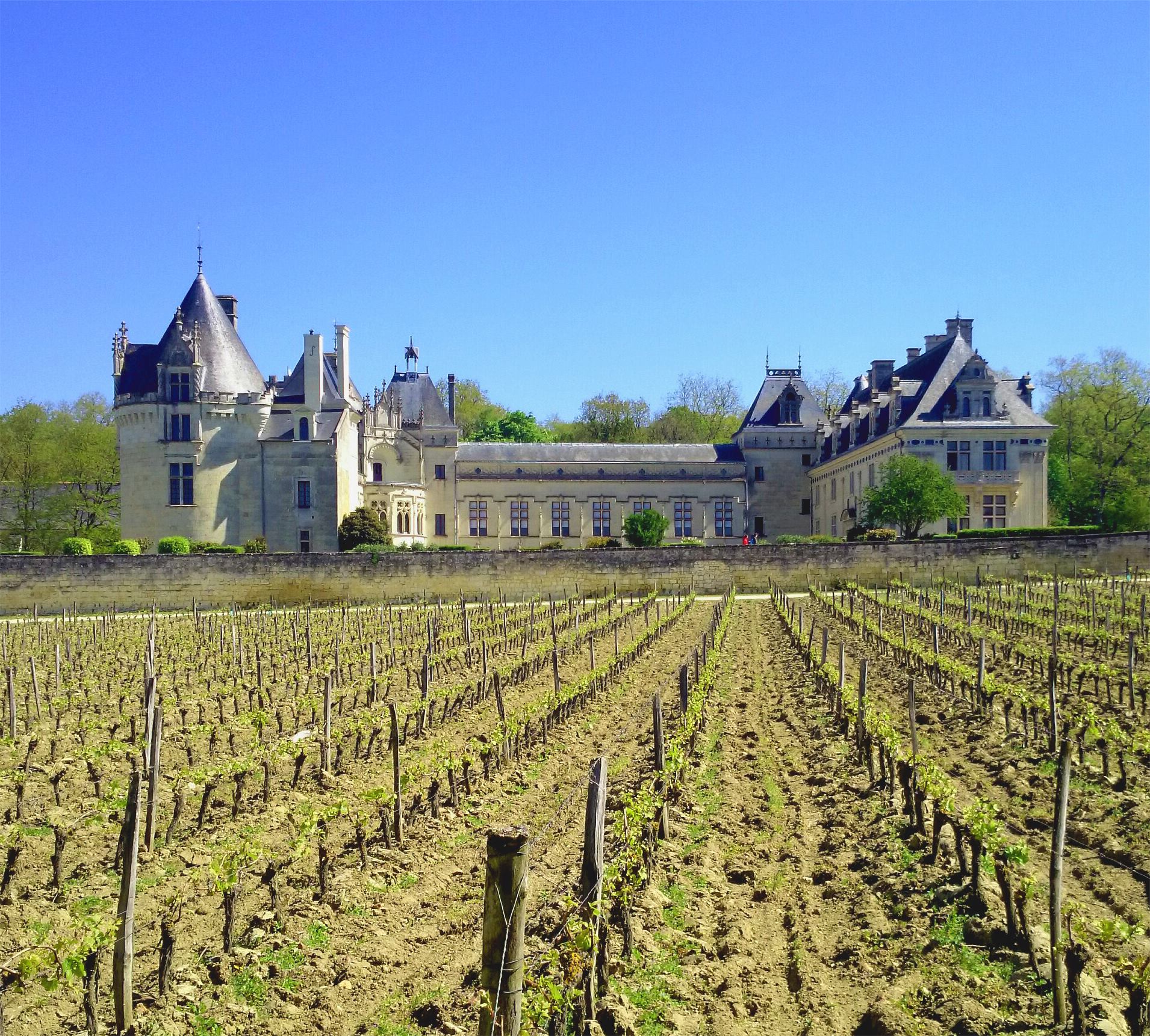 シャトー・ド・ブレゼの写真1