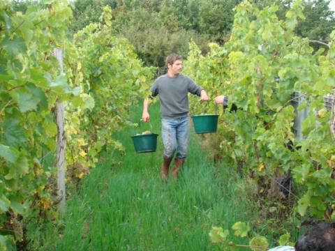 ダミアン・ロローの写真1