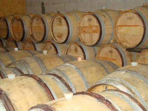 ダミアン・ロローの写真3