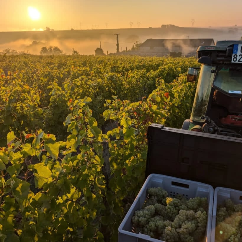 ドメーヌ・ラ・シャンスの写真3