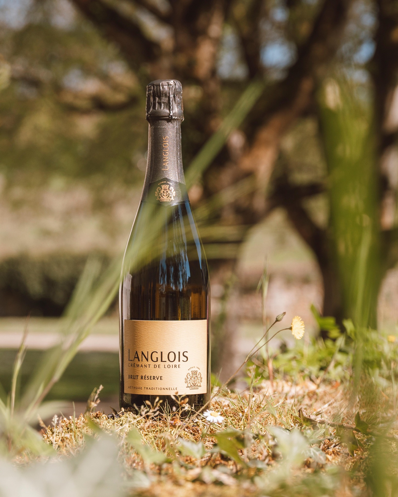 ラングロワ・シャトーの写真1