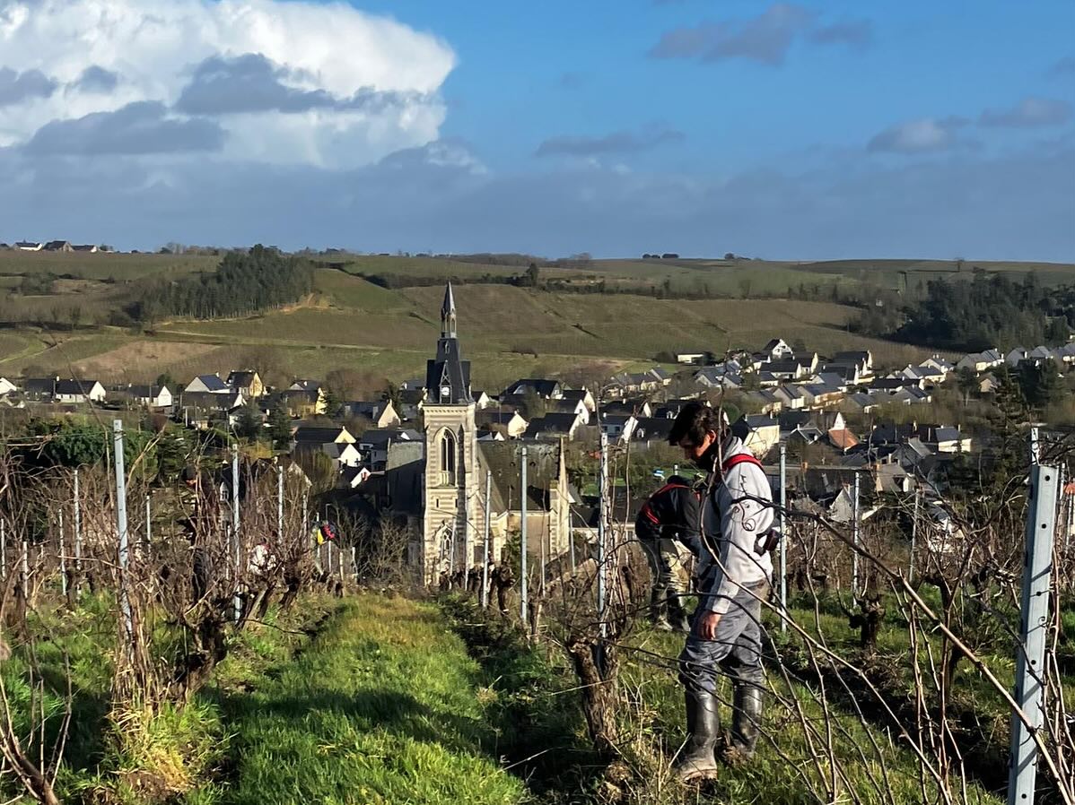 テール・デ・レリュの写真1