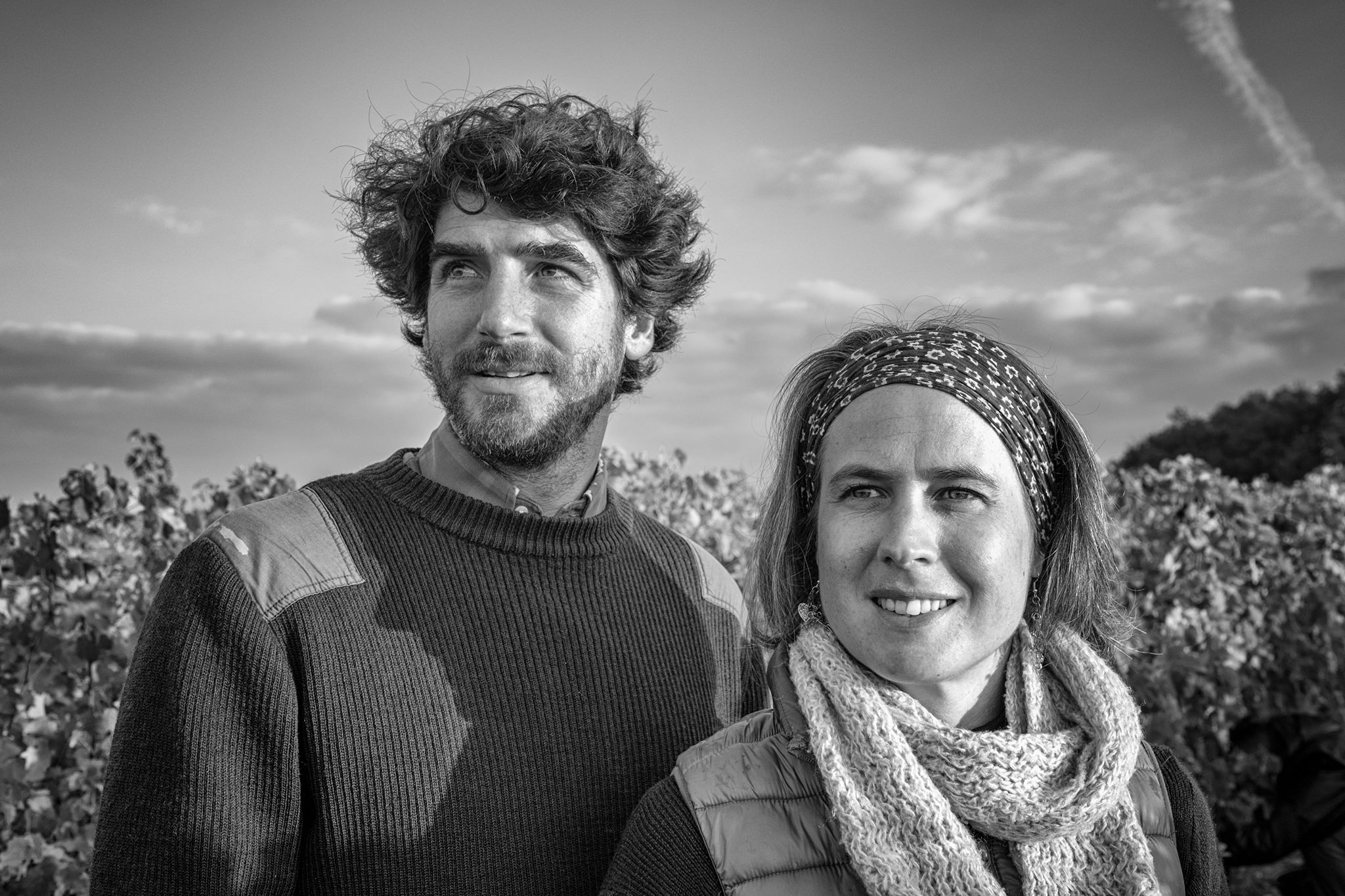 テール・デ・レリュの写真2