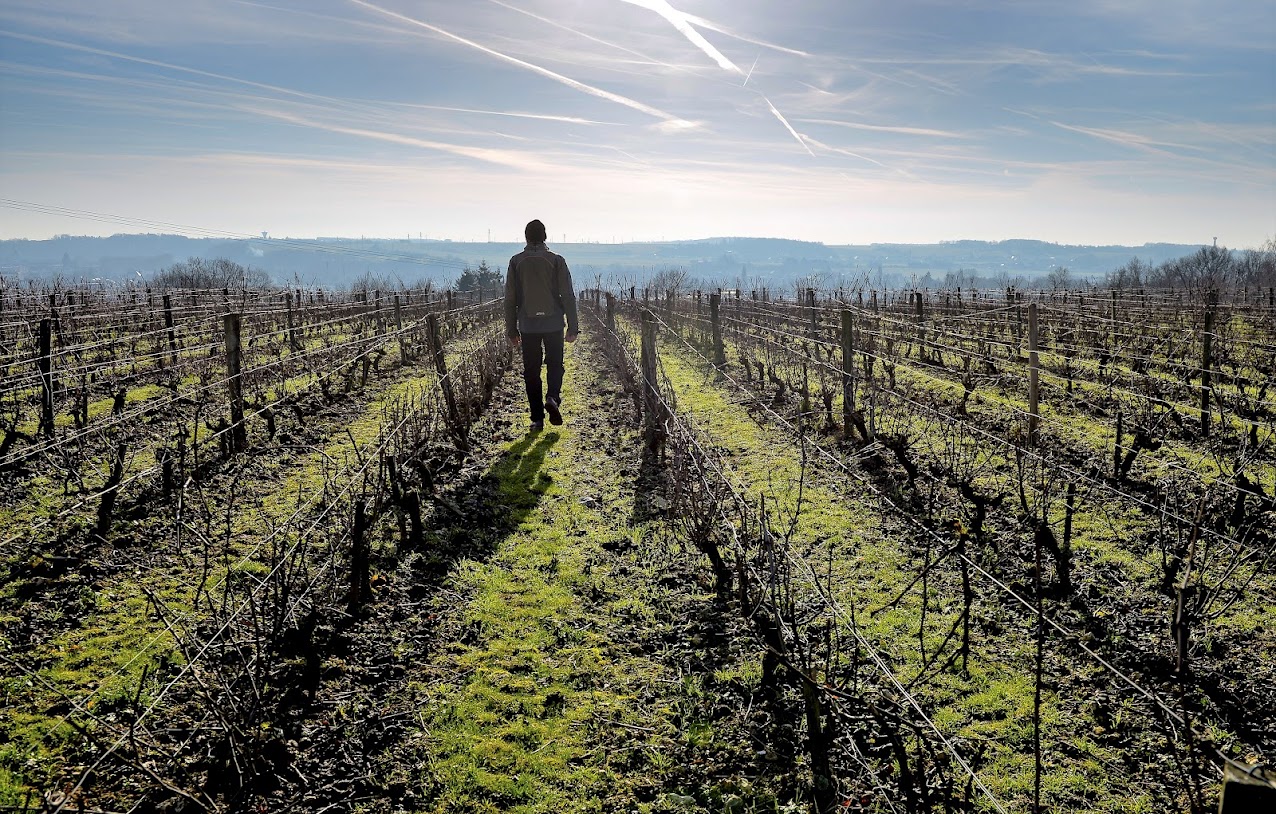 レ・ゴーシェの写真2