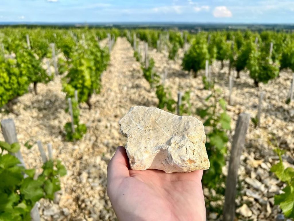 ドメーヌ・ベイリー・リヴェルディの写真1