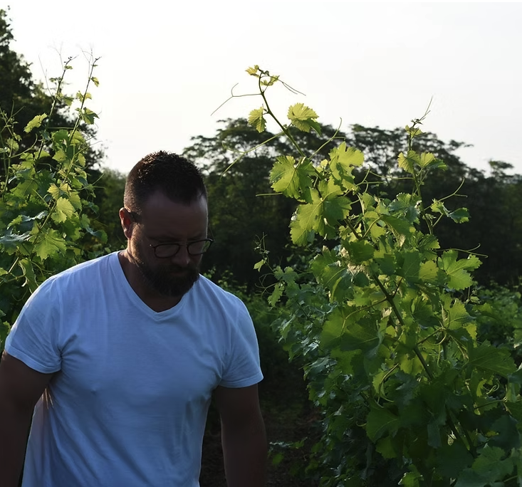 ドメーヌ・レ・ポエットの写真2