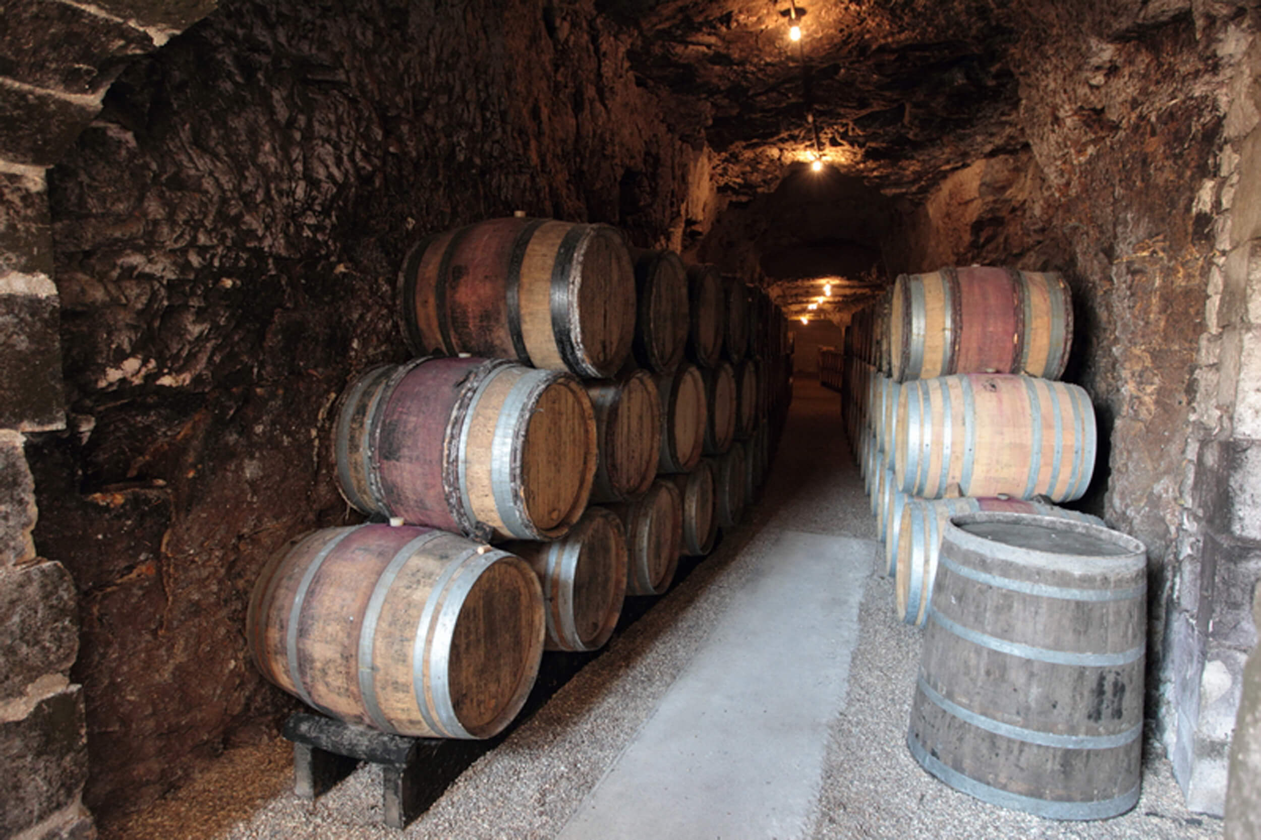 ドメーヌ・ベルナール・ボードリーの写真3