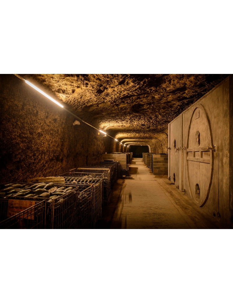 カーヴ・デュアールの写真1