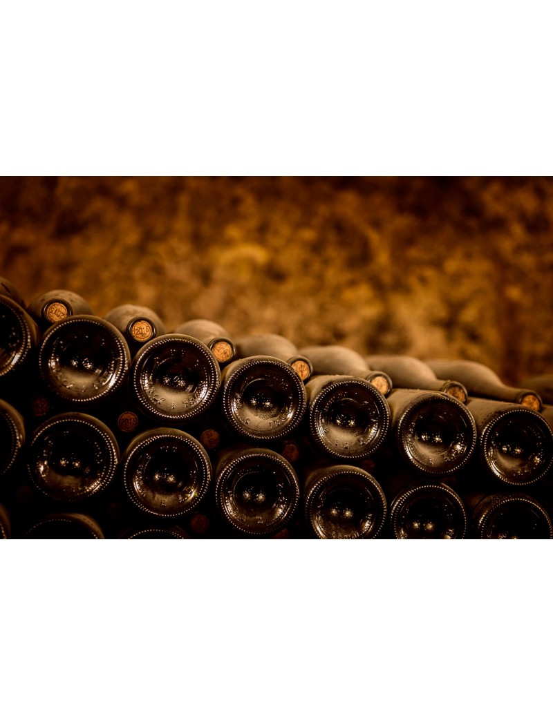 カーヴ・デュアールの写真3