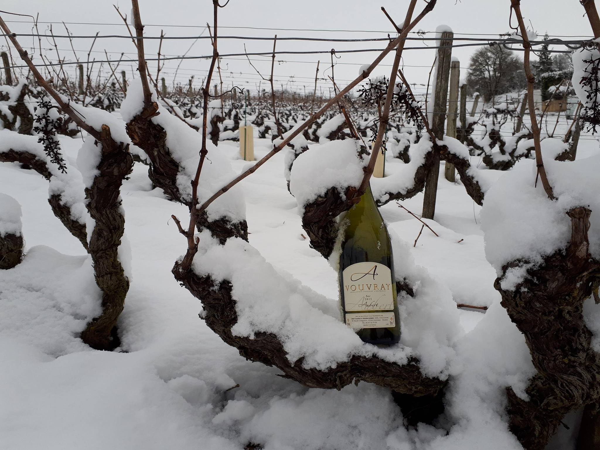 ドメーヌ・オベールの写真1