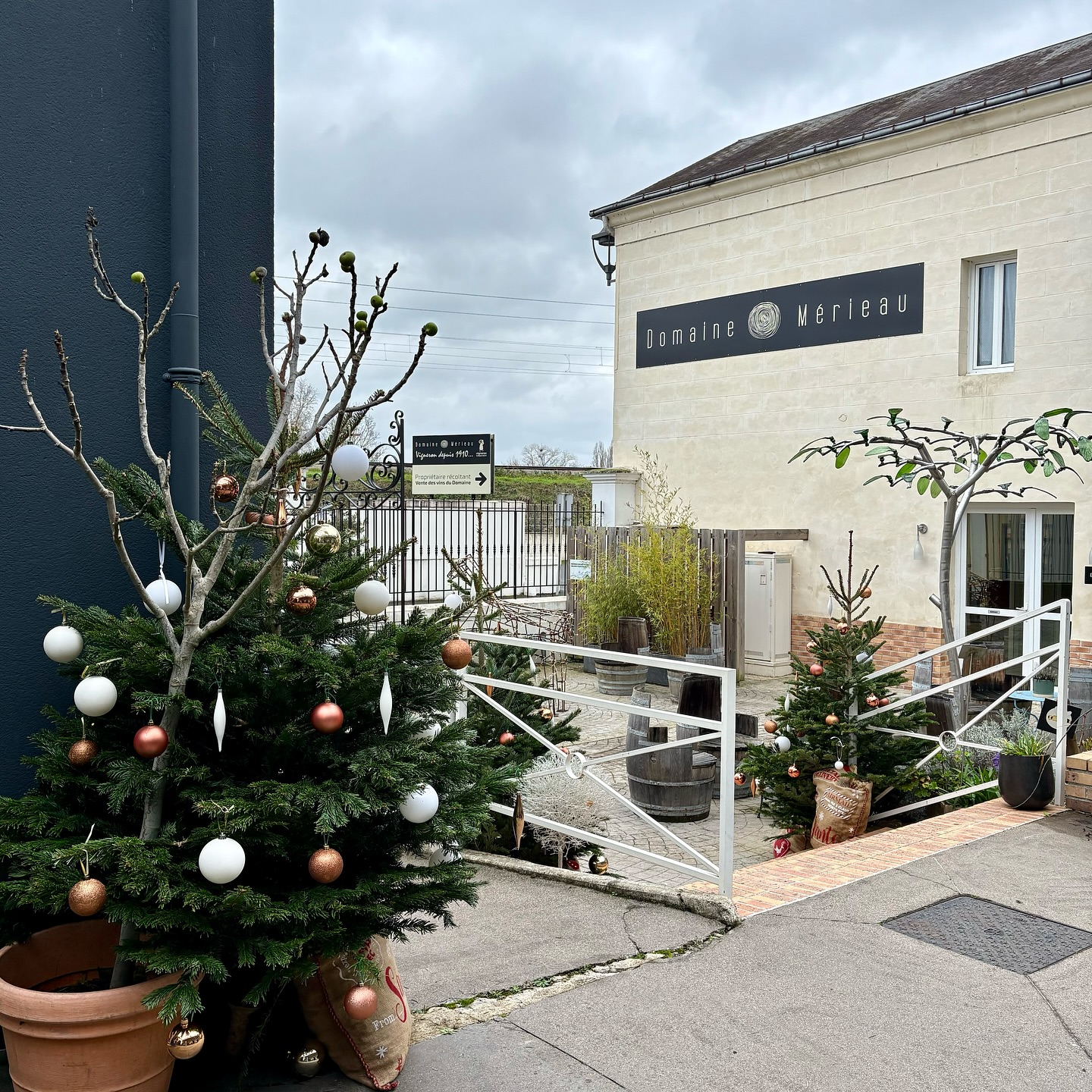 ドメーヌ・メリオーの写真2