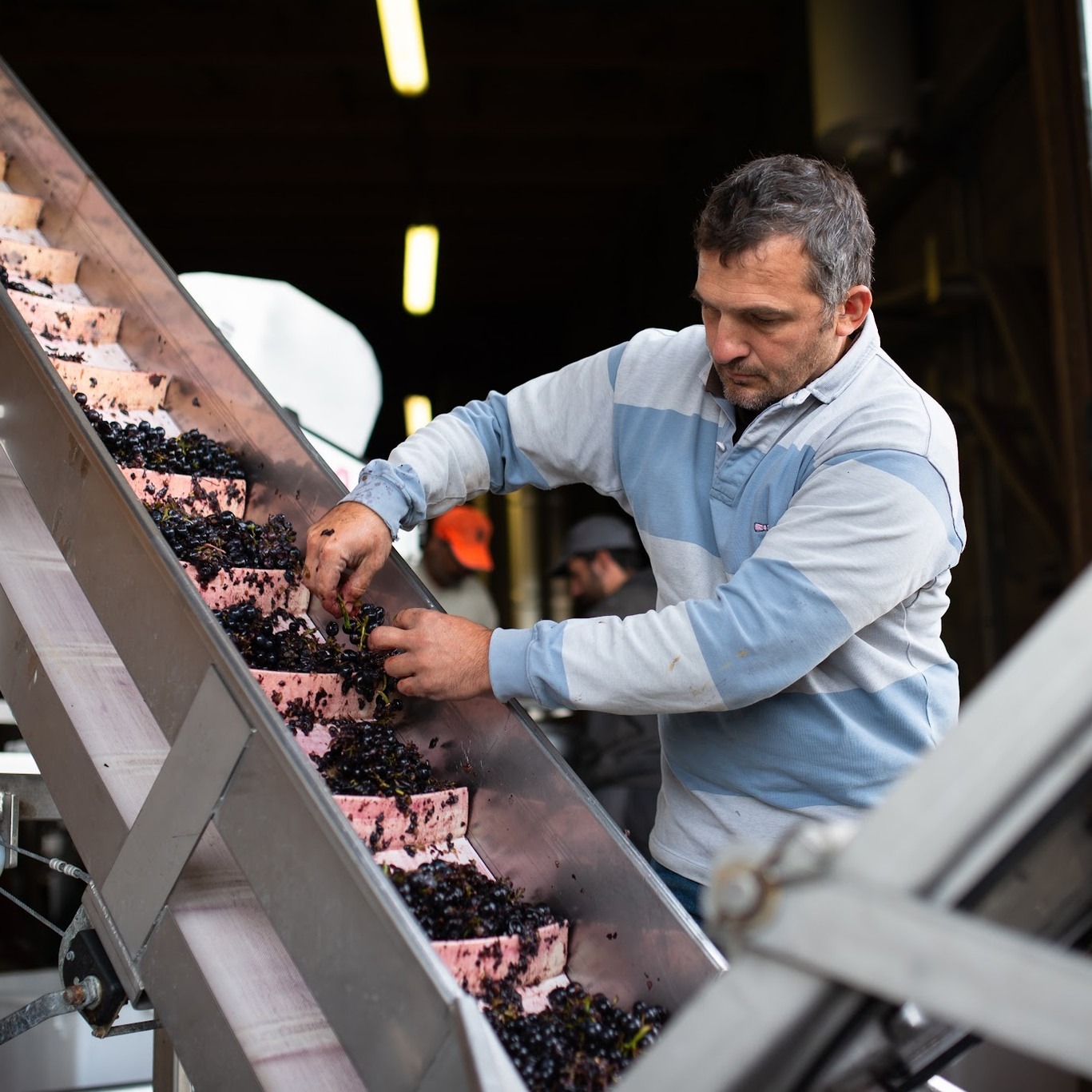 ドメーヌ・メリオーの写真3