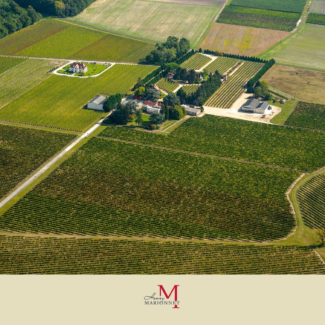 ドメーヌ・ド・ラ・シャルモワーズ (アンリ・マリオネ)の写真2