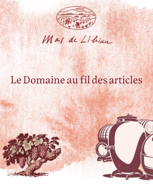 マス・ド・リビアンの写真2