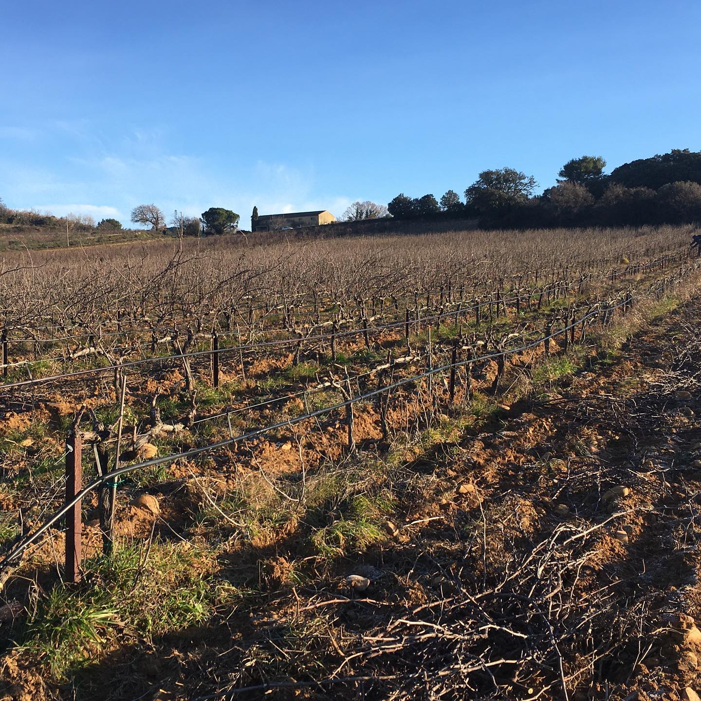 シャトー・ル・デヴォイ・マルティネの写真1