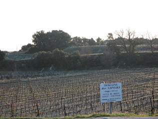 ドメーヌ・デ・ゼスピエの写真2