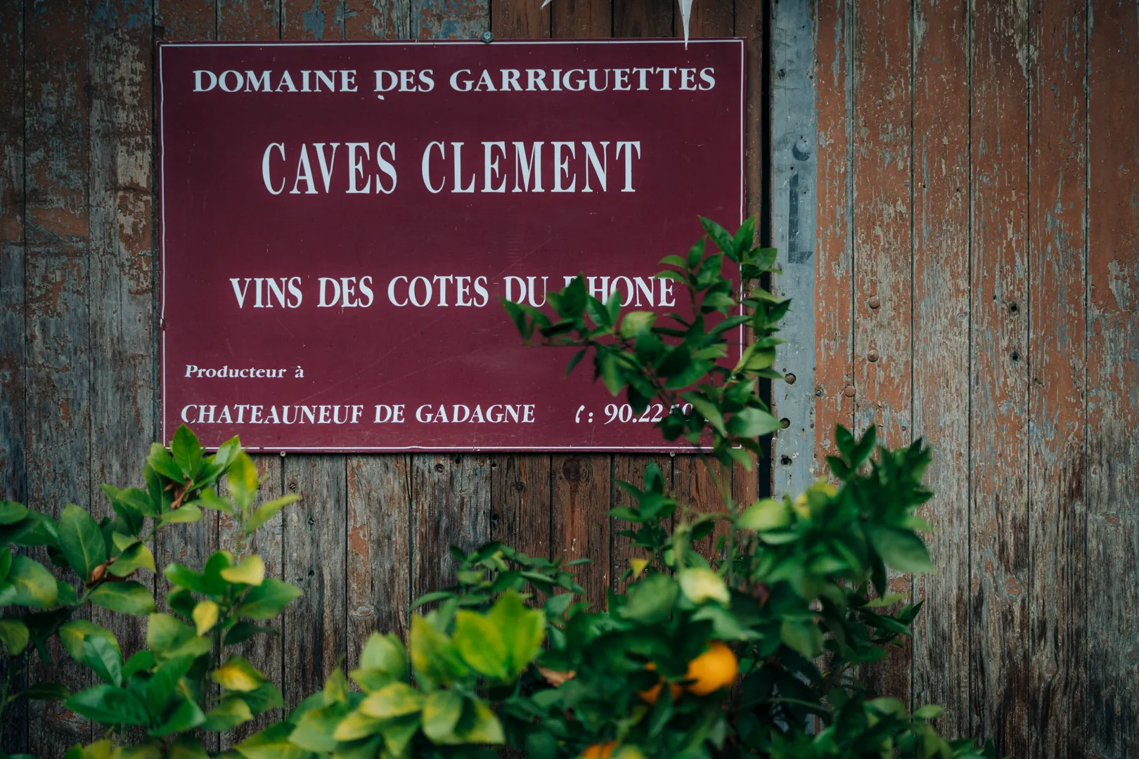 ドメーヌ・デ・ガリゲットの写真2