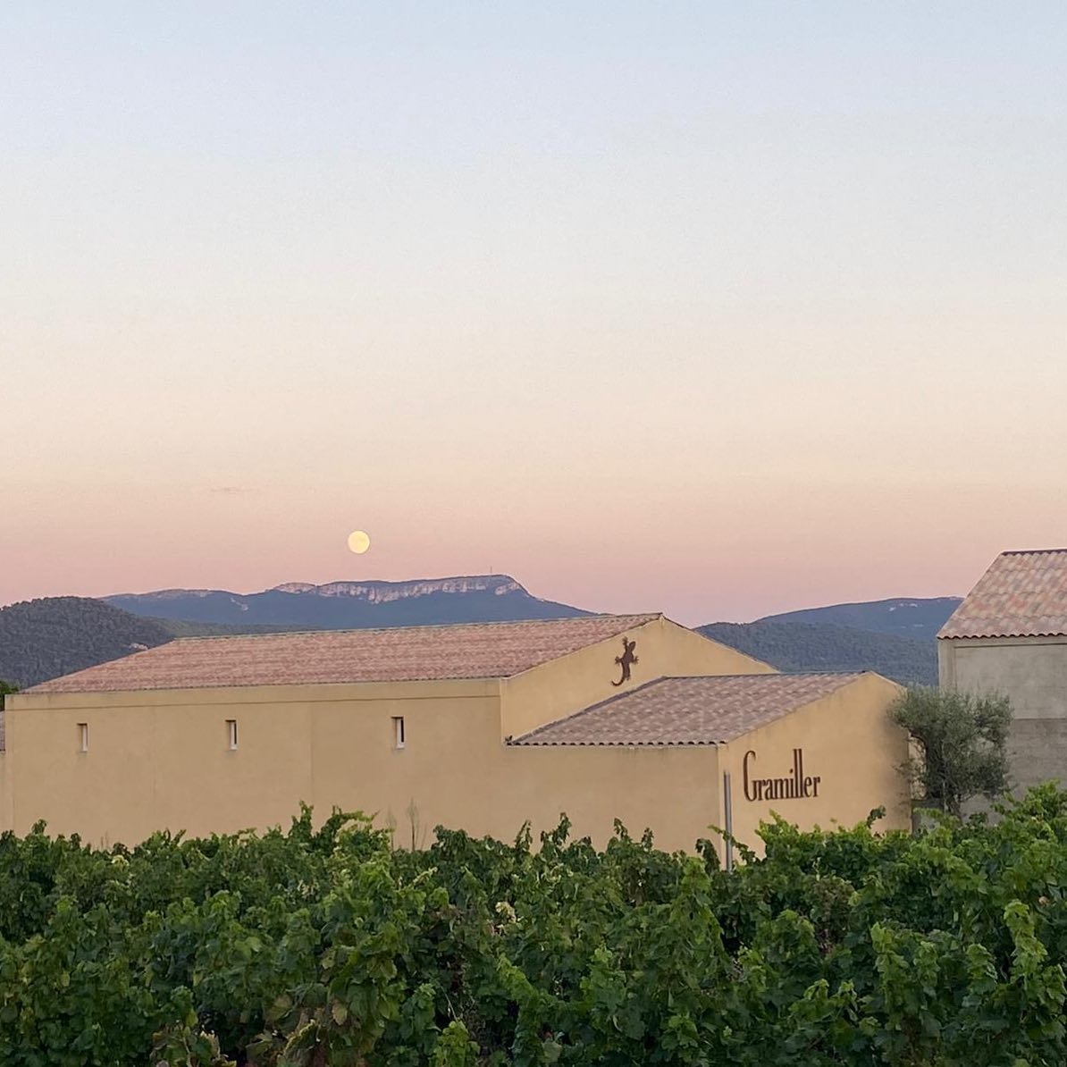 ドメーヌ・グラミエの写真2