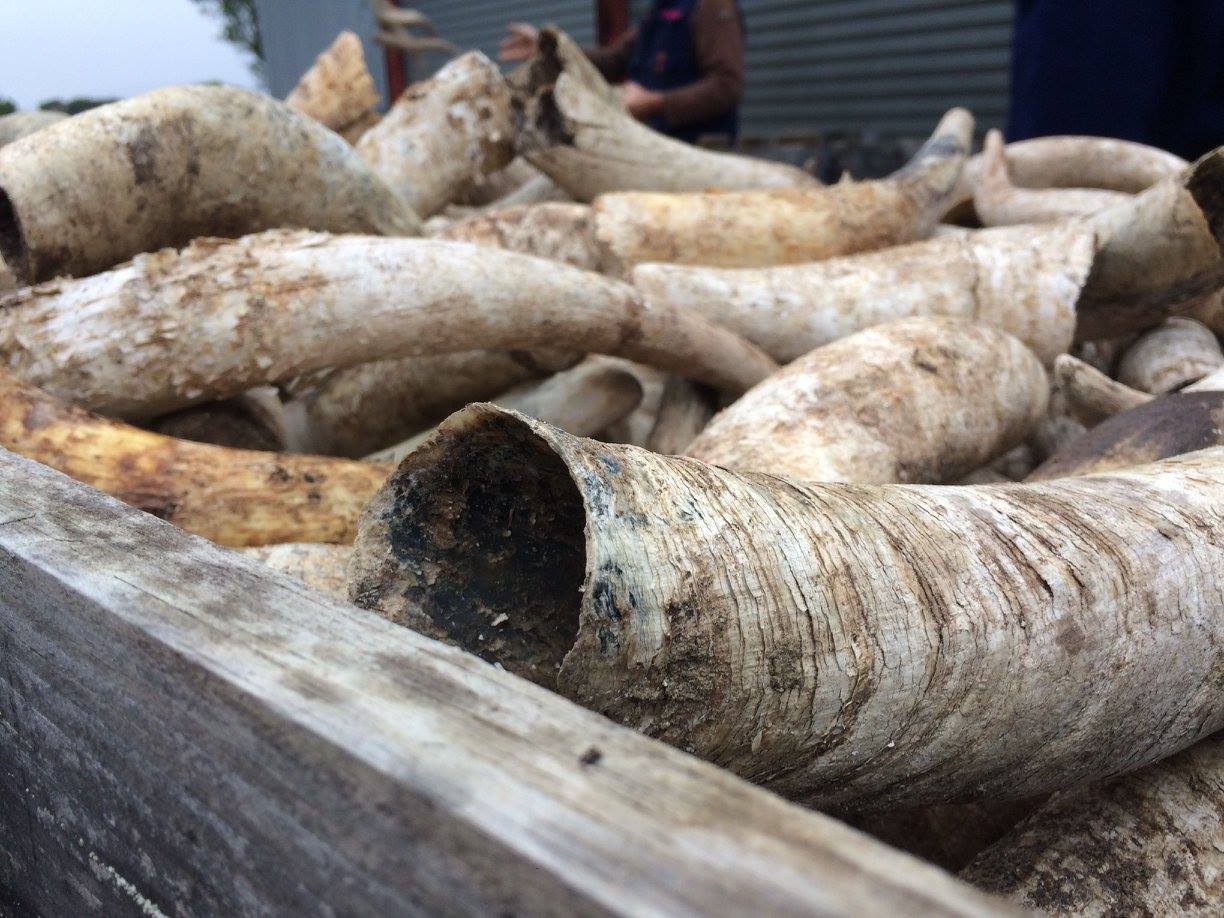 ドメーヌ・ラ・カボットの写真1