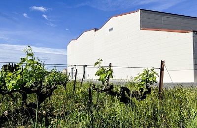 レ・ヴィニュロン・デステザルグの写真2