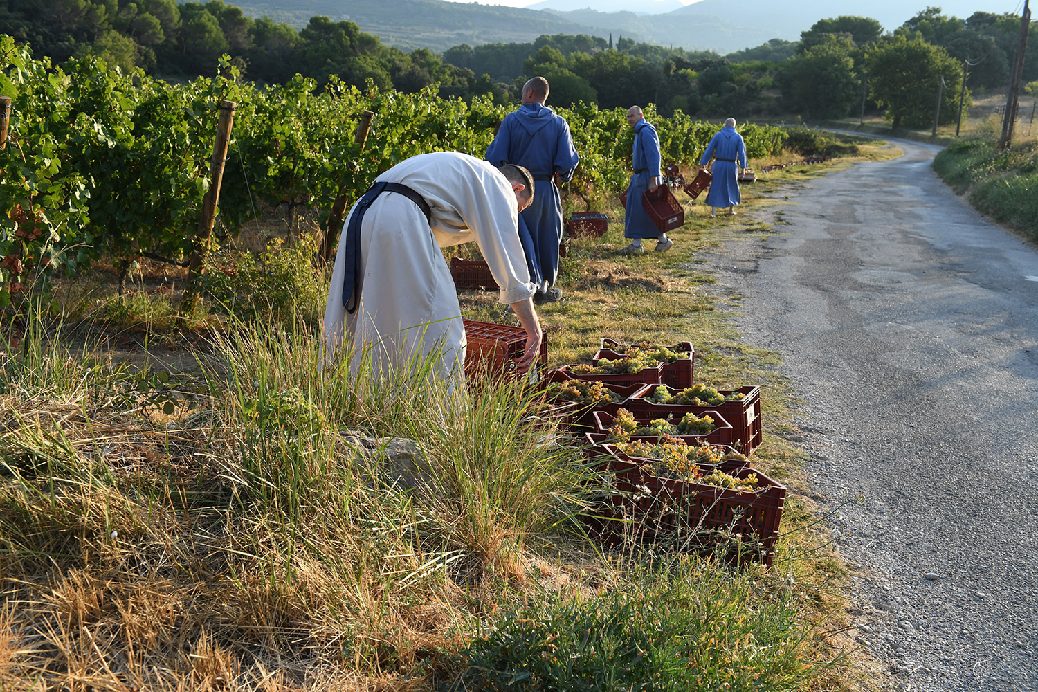 ヴィア・カリタティスの写真1