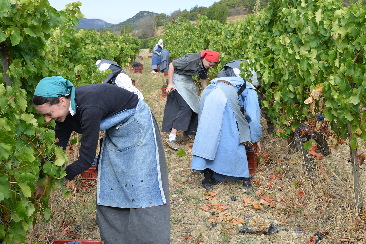 ヴィア・カリタティスの写真3