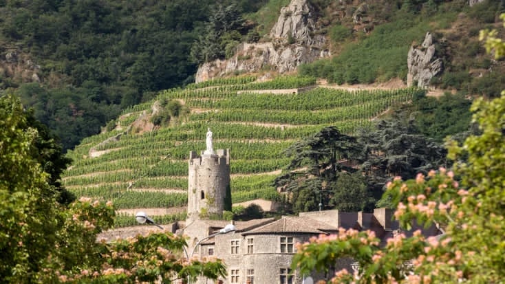 ドメーヌ・アラン・グライヨの写真2