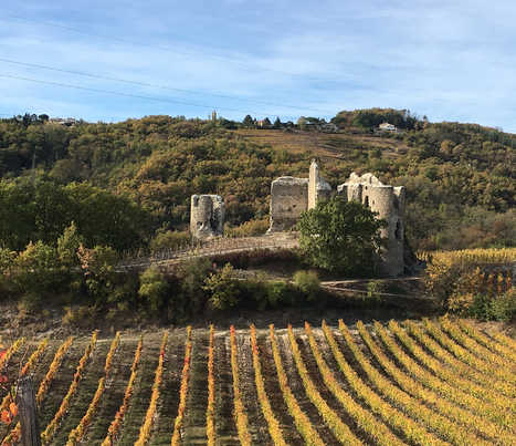 ドメーヌ・ベルの写真1