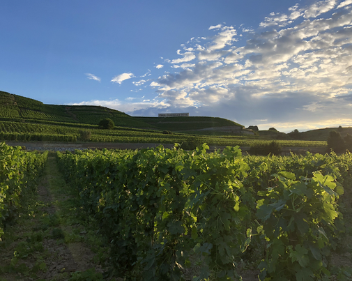 ドメーヌ・ベルの写真2