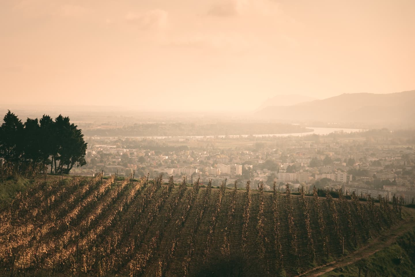 ドメーヌ・デ・ルミジエールの写真3