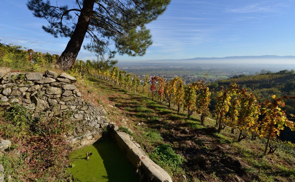 ドメーヌ・デュ・テュネルの写真1