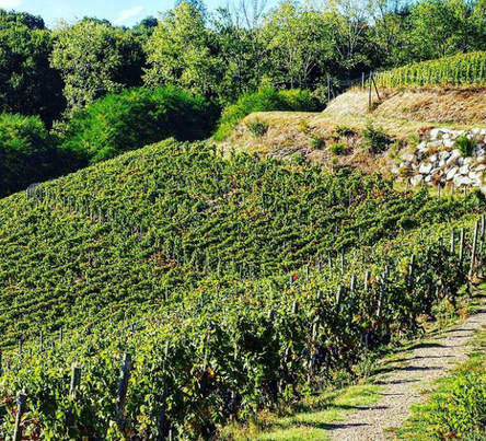 ドメーヌ・ジャメの写真1