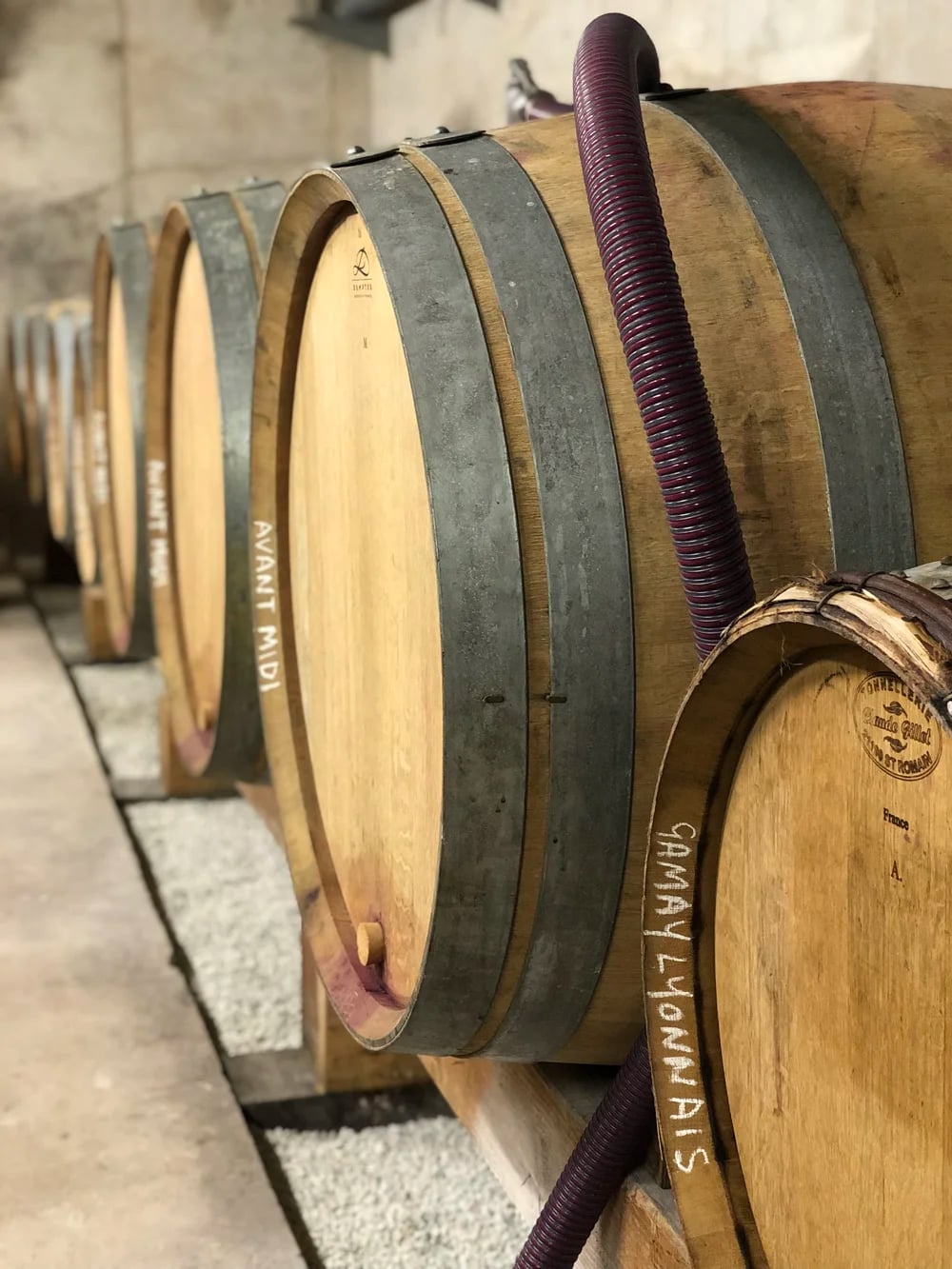 ウィルズ・ワインの写真2