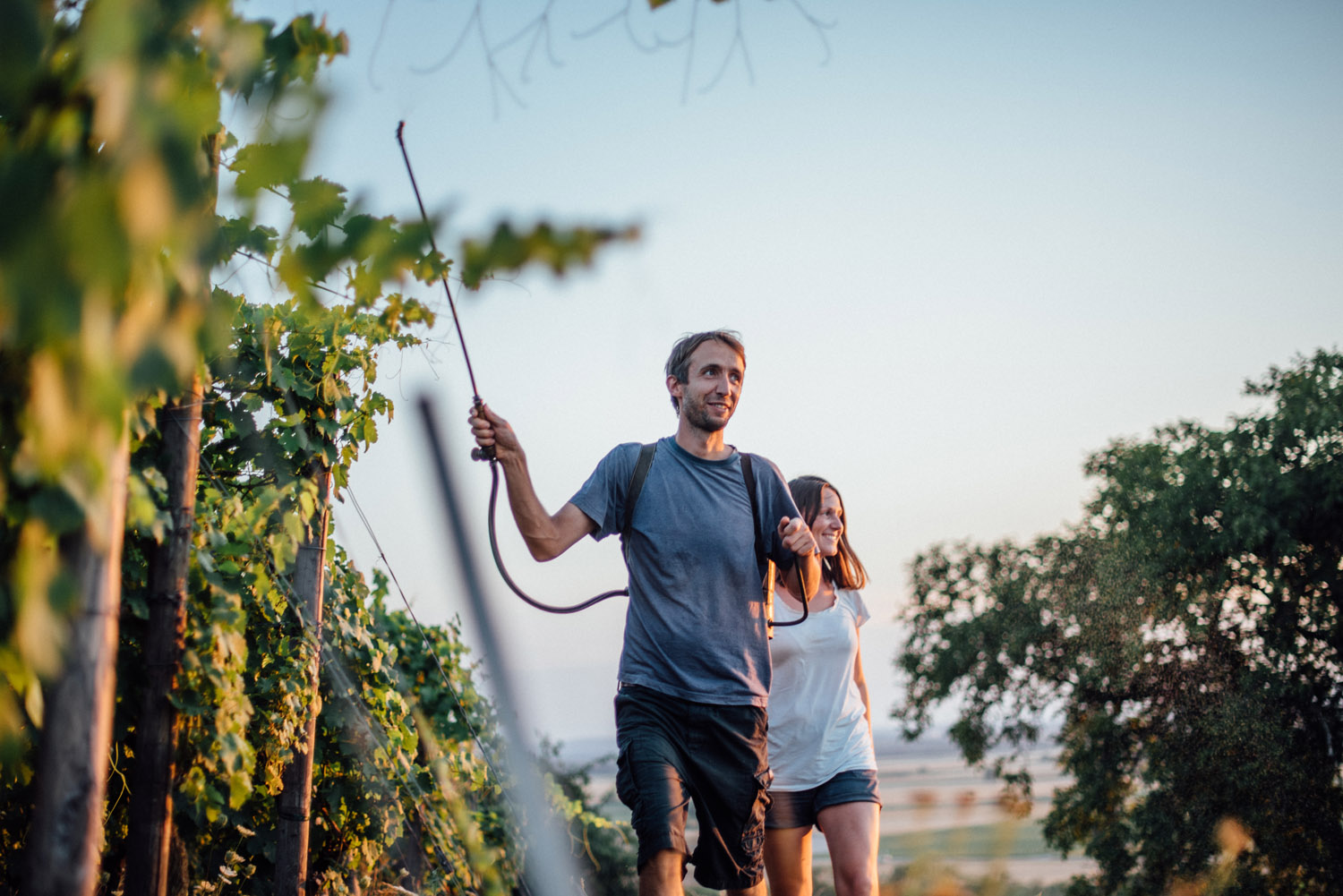 マカリエの写真2