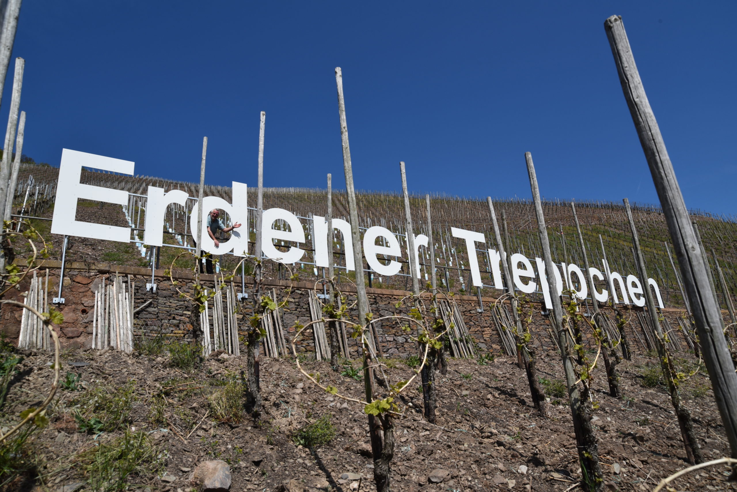 ヴァイングート・モイレンホフの写真1