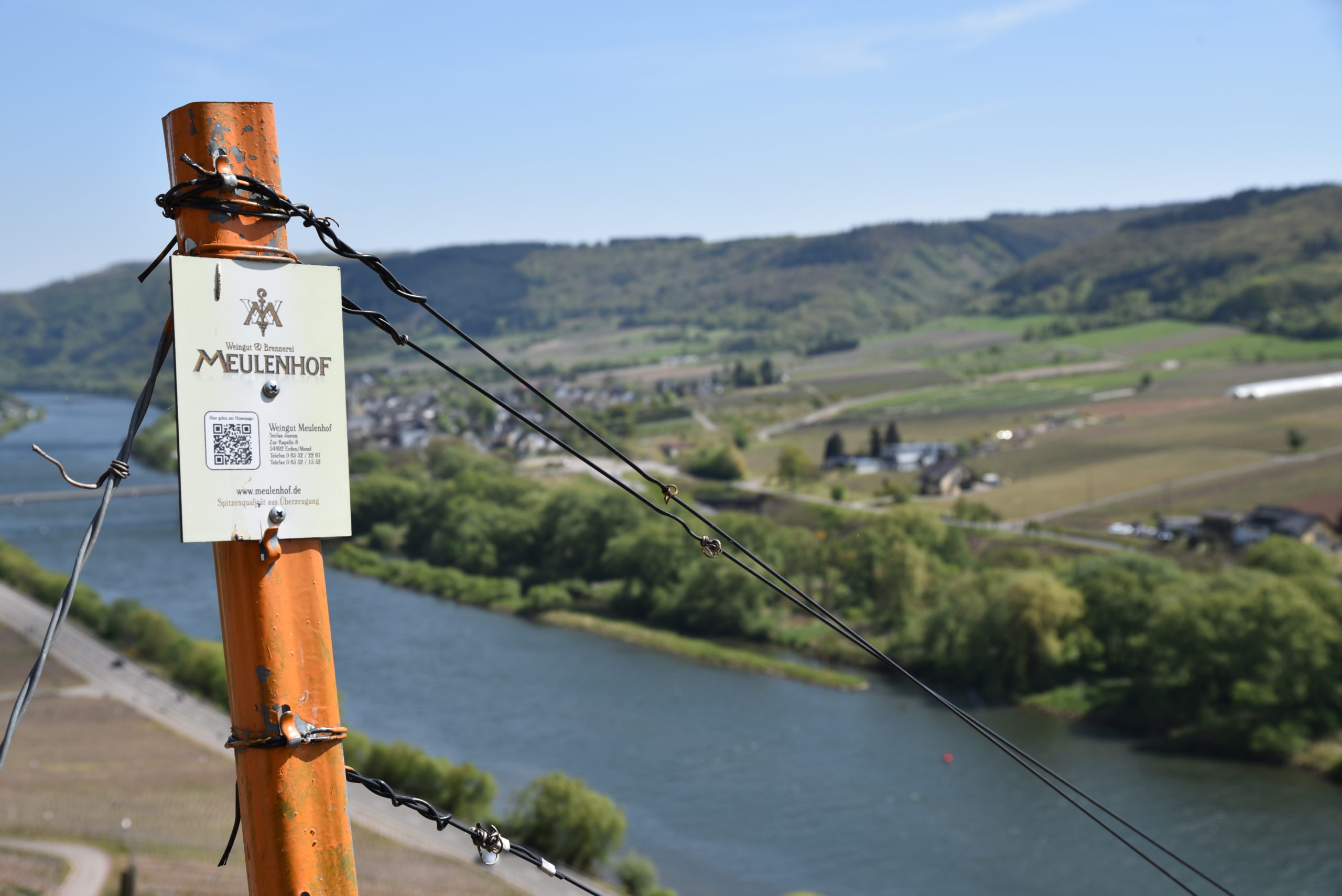 ヴァイングート・モイレンホフの写真3