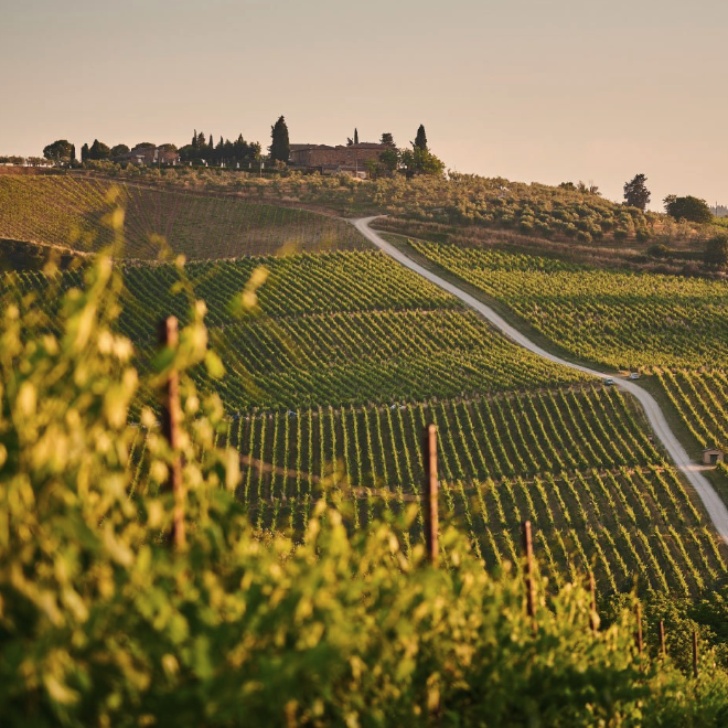 エレナ・フッチの写真2