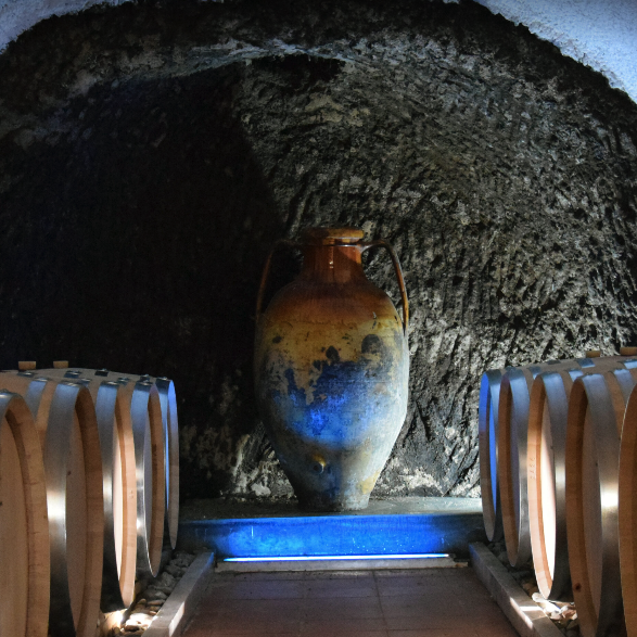 エレナ・フッチの写真3