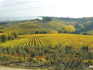 ワルタリアの写真2