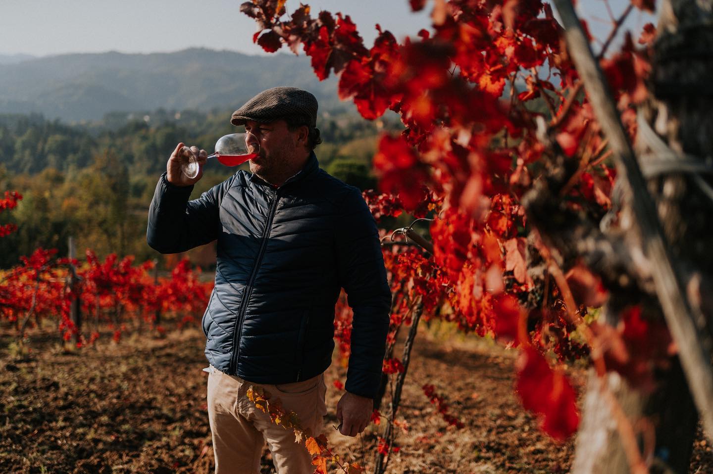 カッチャネミチの写真1