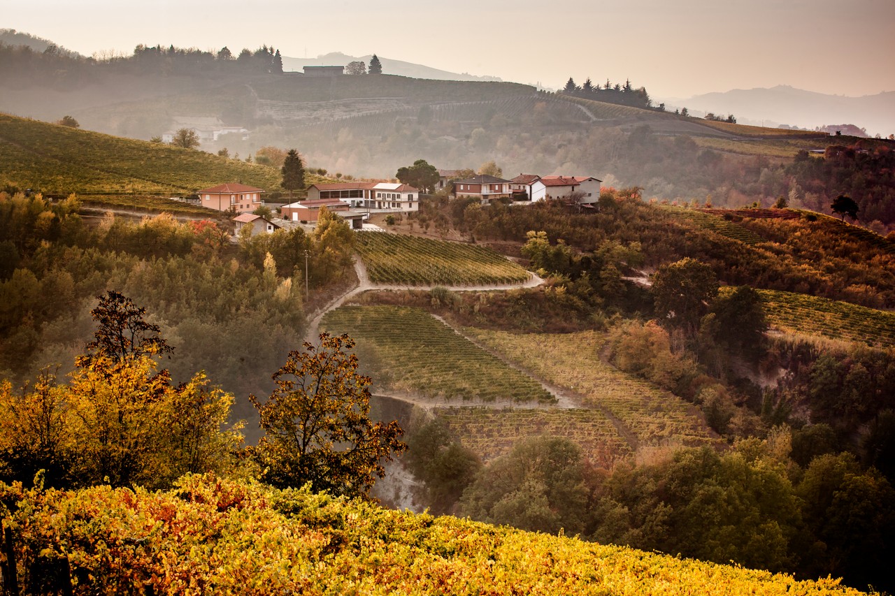 アジィエンダ・アグリコーラ・チェルッティの写真1