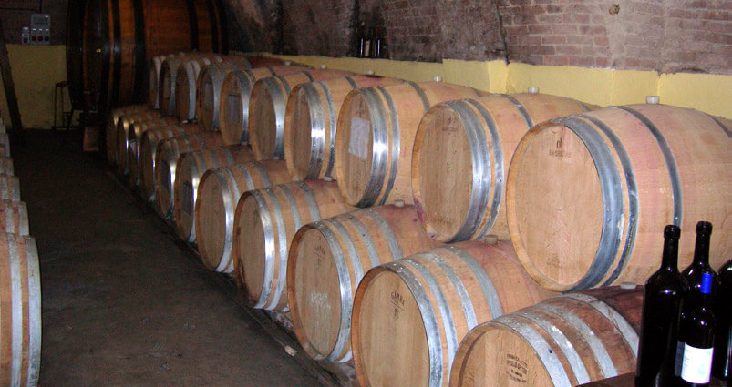 ジョゼッペ・トラヴェルサの写真3