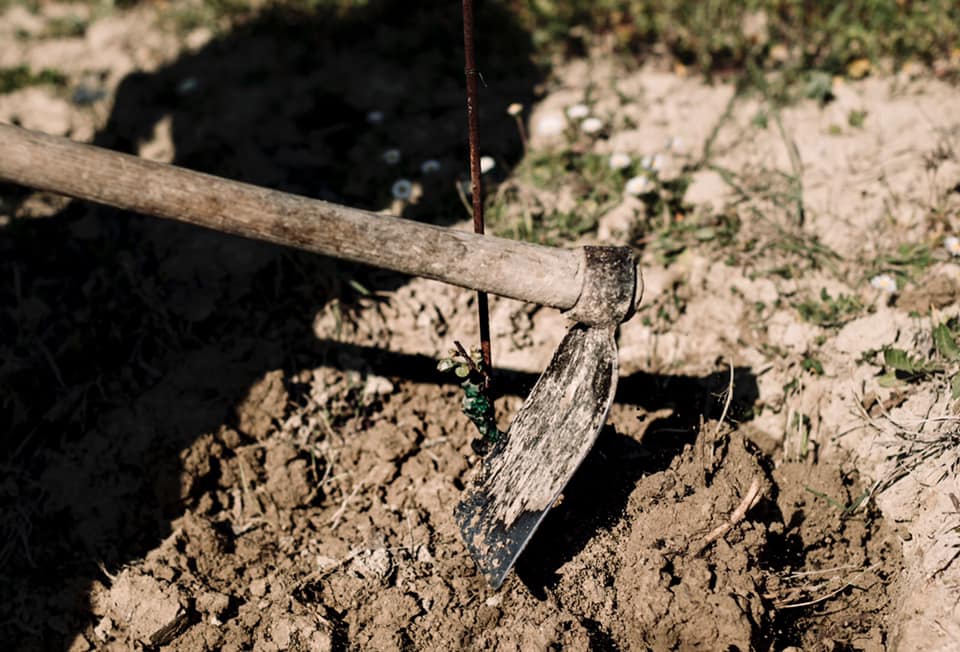 ヴィエッティの写真3