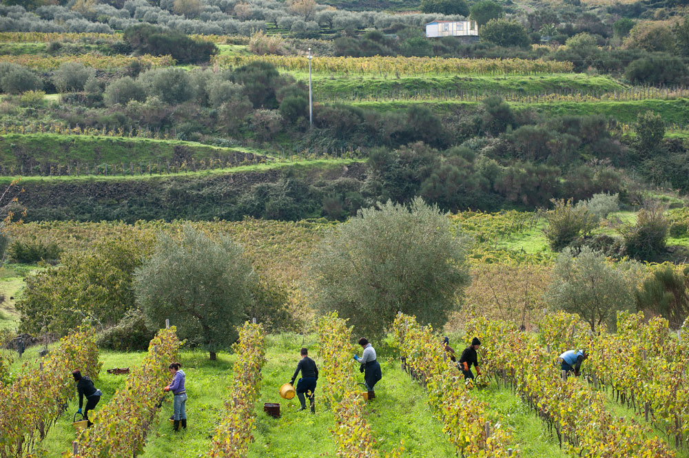 グラーチの写真1