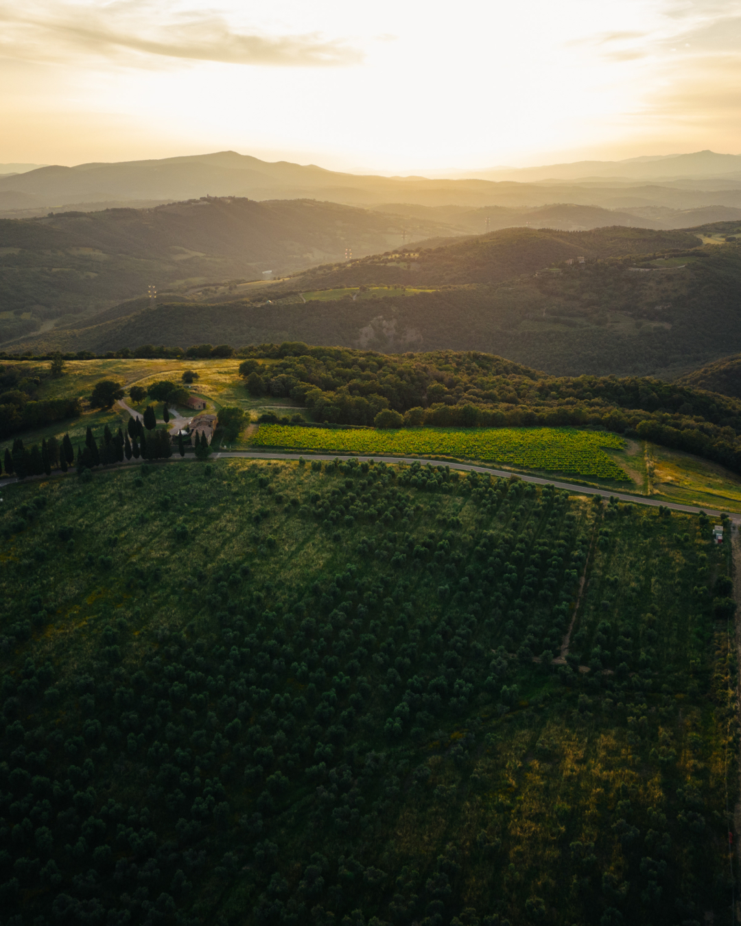 コッレ・マッサーリの写真3