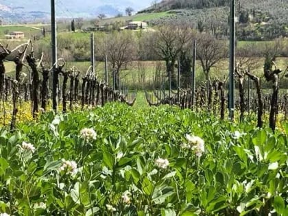 カンティーナ・ライナの写真2